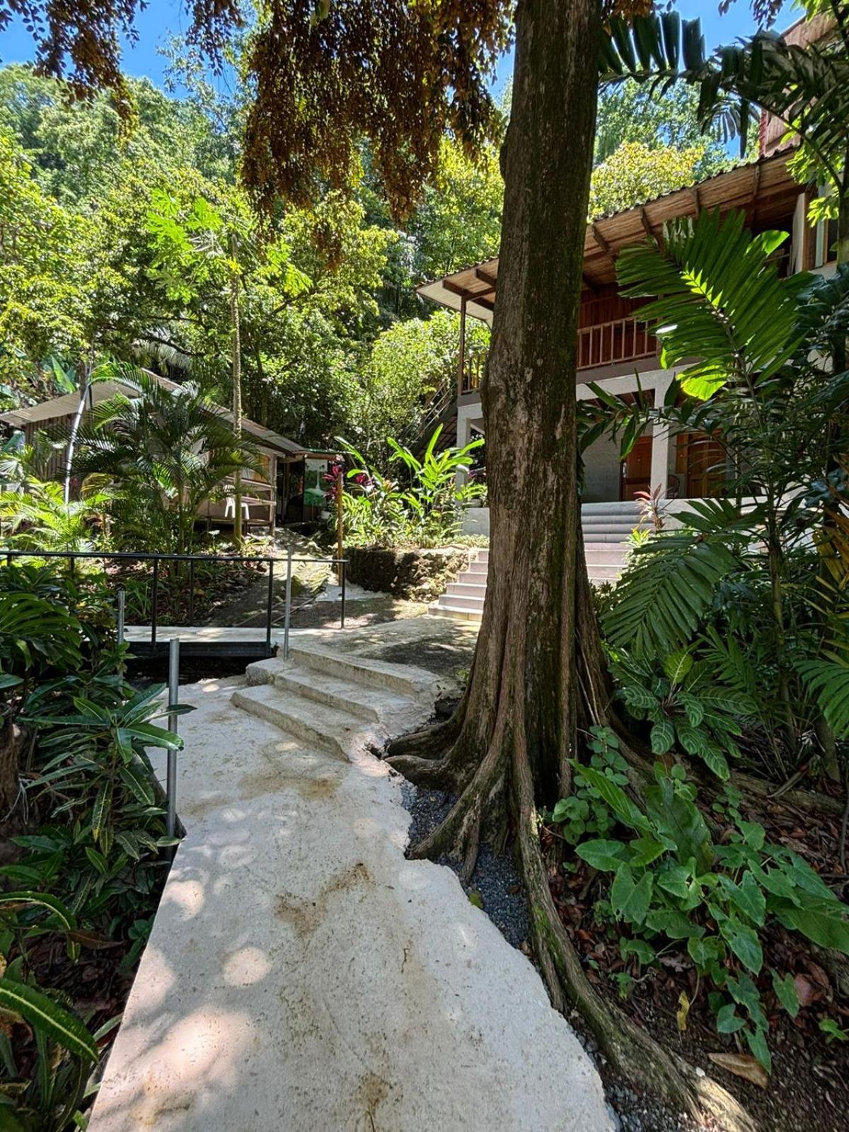 Апартаменты Casa Susen Монтесума Экстерьер фото